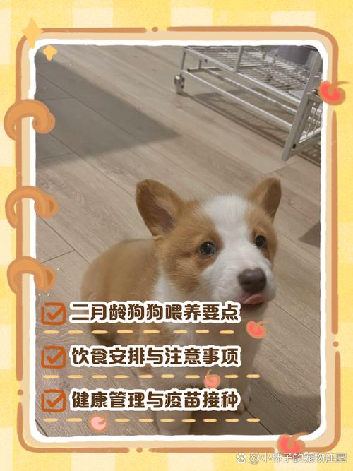 泰迪吃羊奶粉比较多能吃多久?