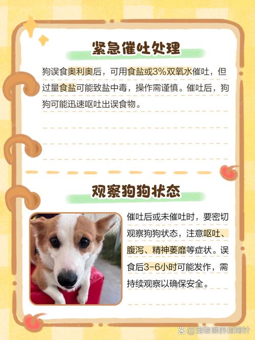 小狗误食奥利奥怎么办啊?