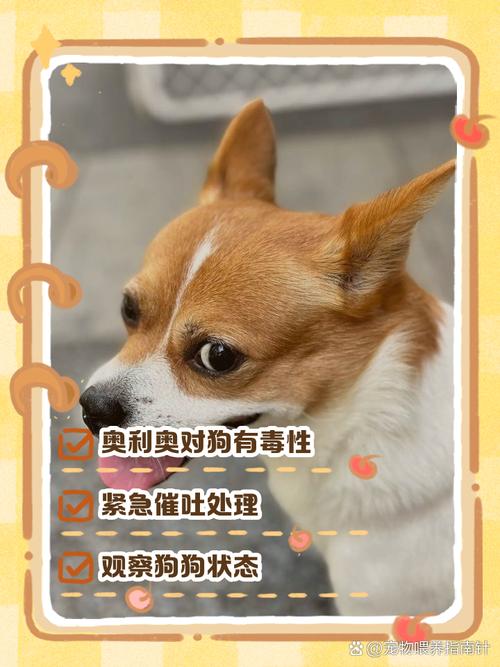 狗吃了粘满可可粉和奥利奥碎的面包怎么办啊?会不会死!急求!