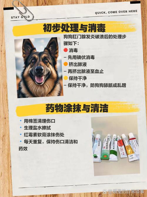 狗肛门腺发炎吃什么药