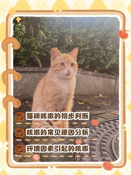 猫咪老是咳嗽像卡东西一样