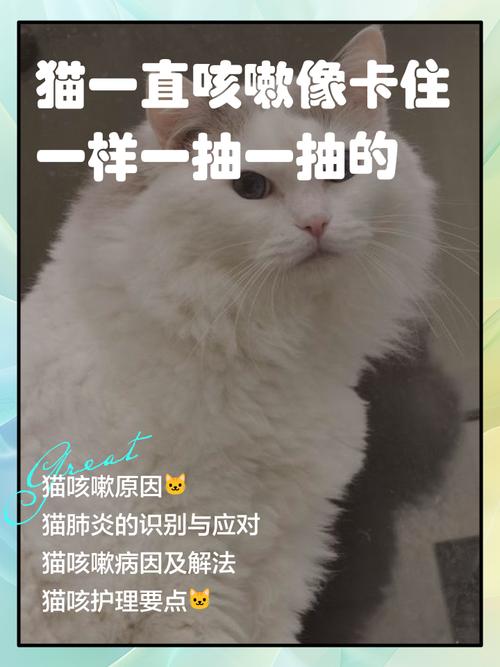 老年猫咪咳嗽干呕是怎么了?