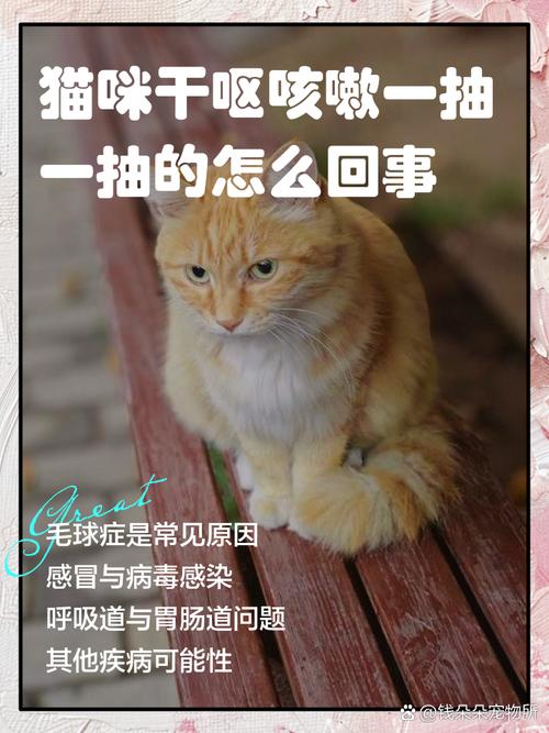 猫咳嗽干呕发出咔咔咔的声音