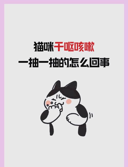 猫咪像呕吐一样咳嗽