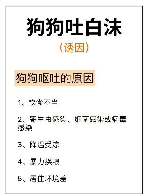 狗一直吐白沫怎么办啊