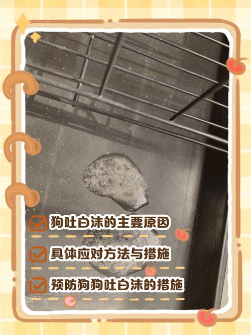 狗狗咳嗽吐白沫是什么原因,怎么处理?