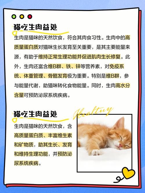猫咪为什么定期吃生肉