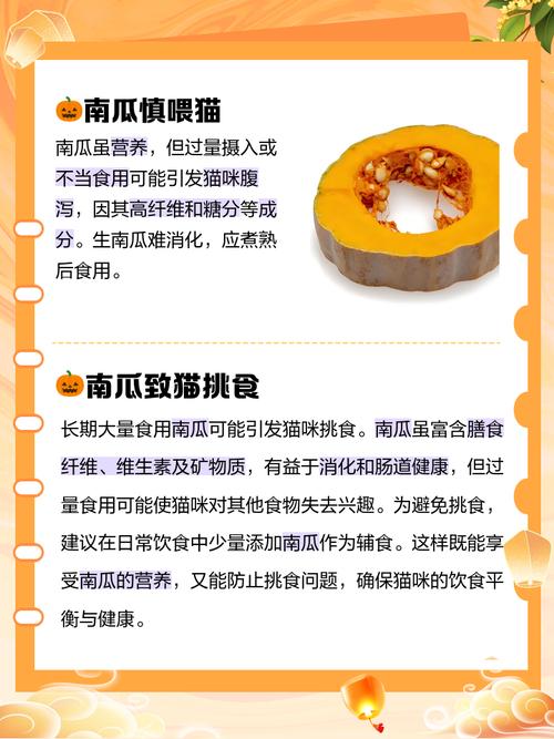 猫吃南瓜好处和坏处