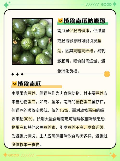 猫可以吃南瓜吗
