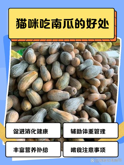 100种猫咪饮食速查表_乱投喂