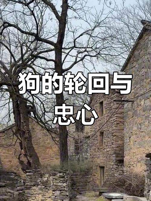 狗转世为人的特征