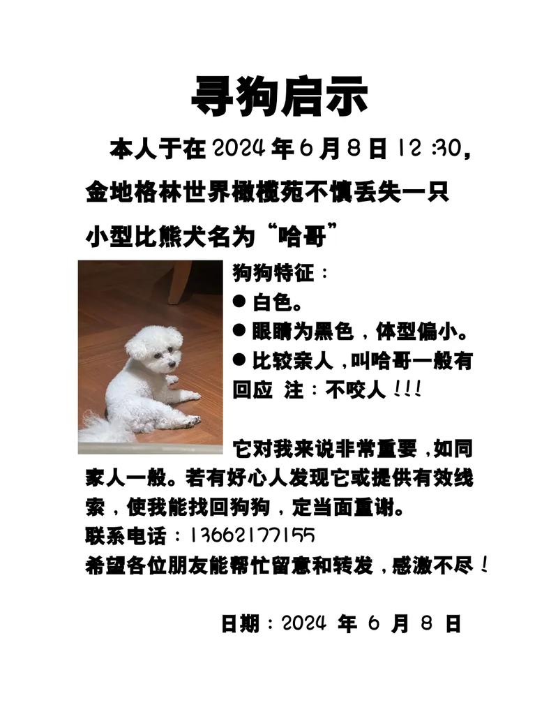 如果狗狗转世了,你会怎么认出它?网友:它会帮我脱袜子!