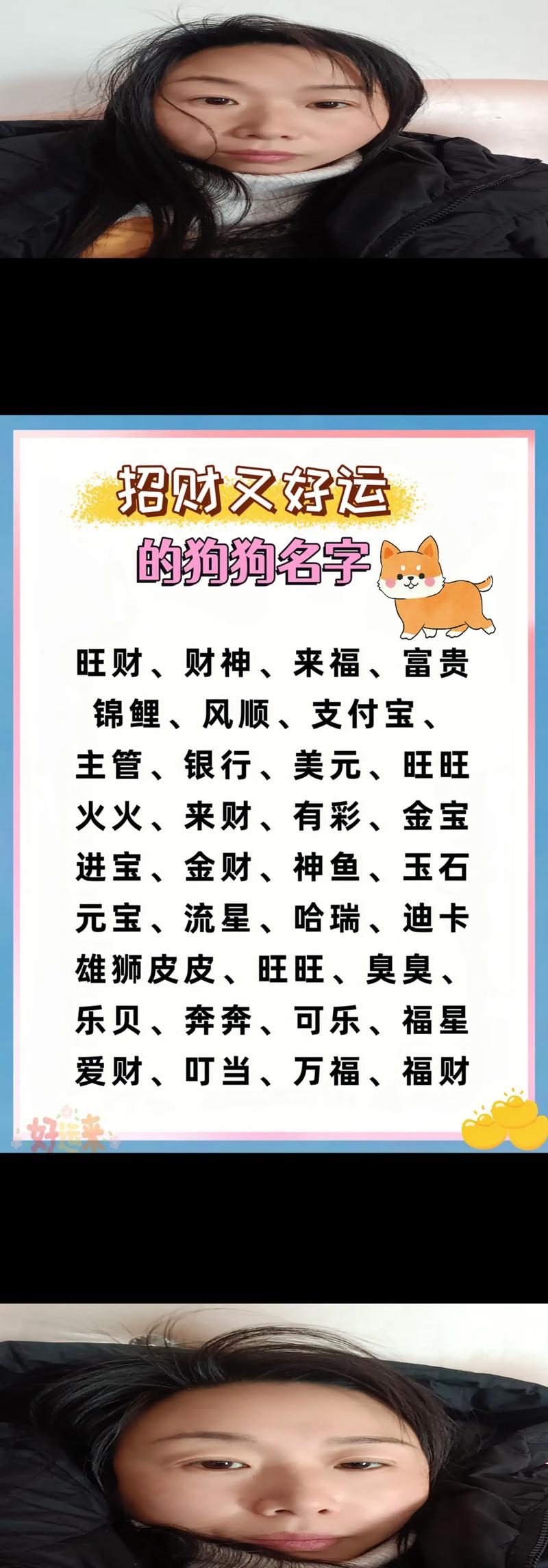 狗狗取名也有讲究,这些“禁忌”不要犯!
