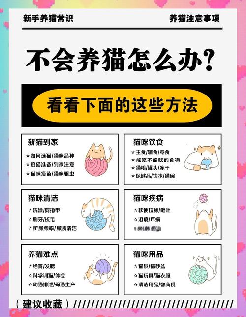 15个养猫知识,养猫老手可能也不知道