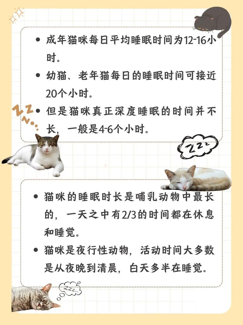布偶猫一天一般睡多久