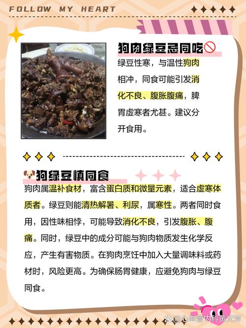 可以给狗吃绿豆粥吗