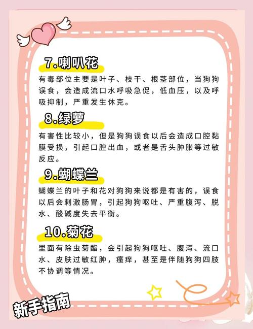 狗可不可以闻百合花