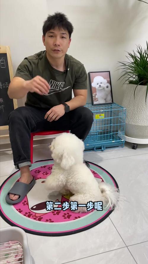 狗狗拜佛怎么训练