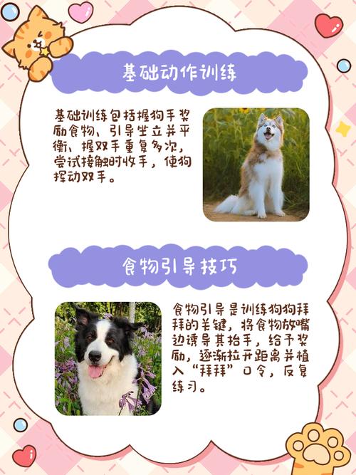 让狗狗学会说拜拜