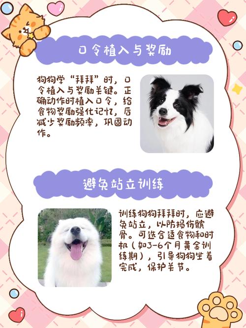 怎么教狗狗做拜拜的动作?