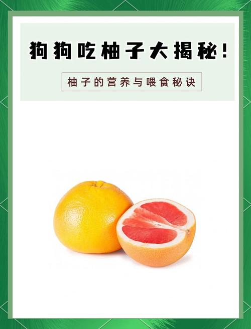 狗狗吃了红心柚子会死吗