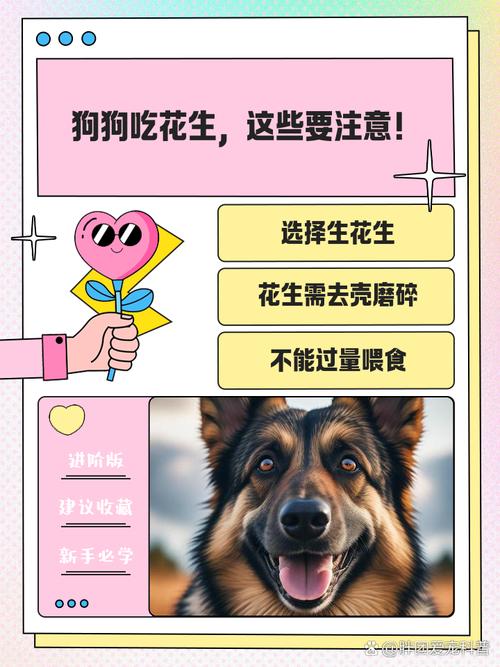 狗狗为什么会吃花生