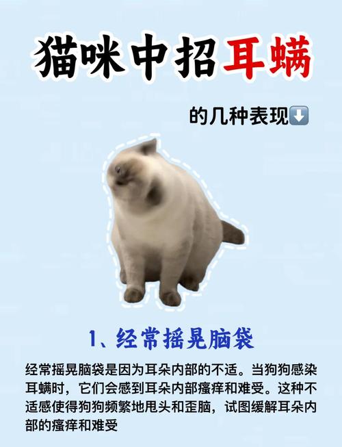 猫耳朵里甩出水但是水干净