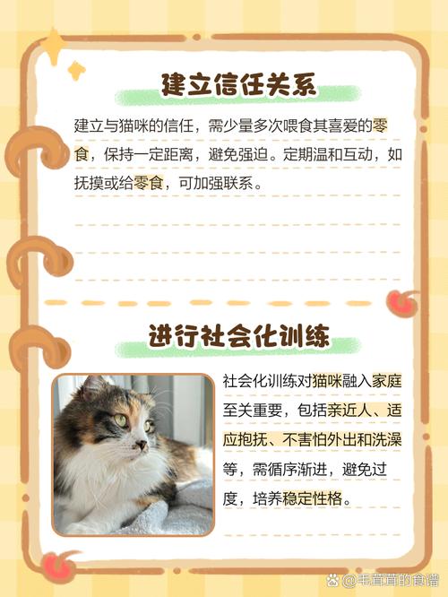 猫咪太胆小了怎么办