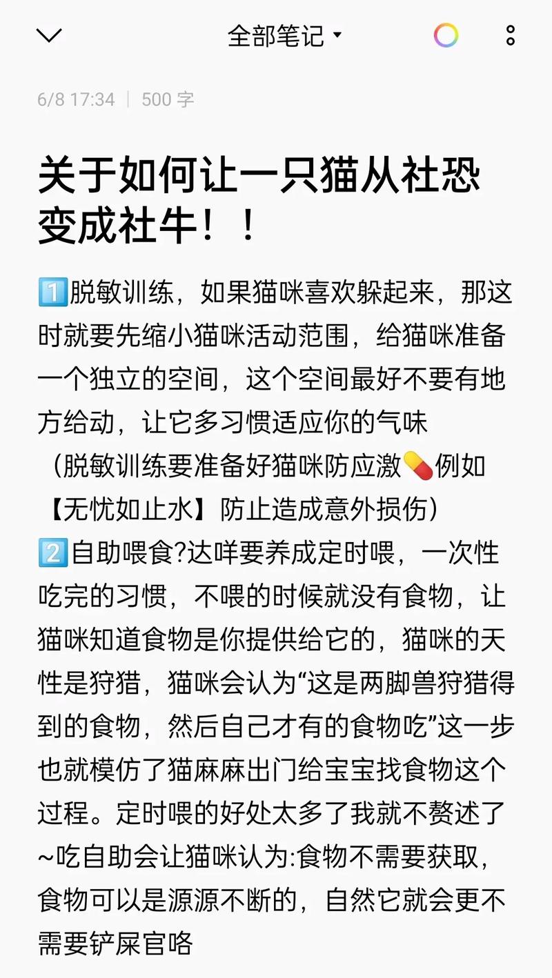 猫咪胆子特别小怎么办?