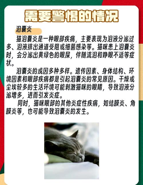猫咪老是流眼泪是怎么回事
