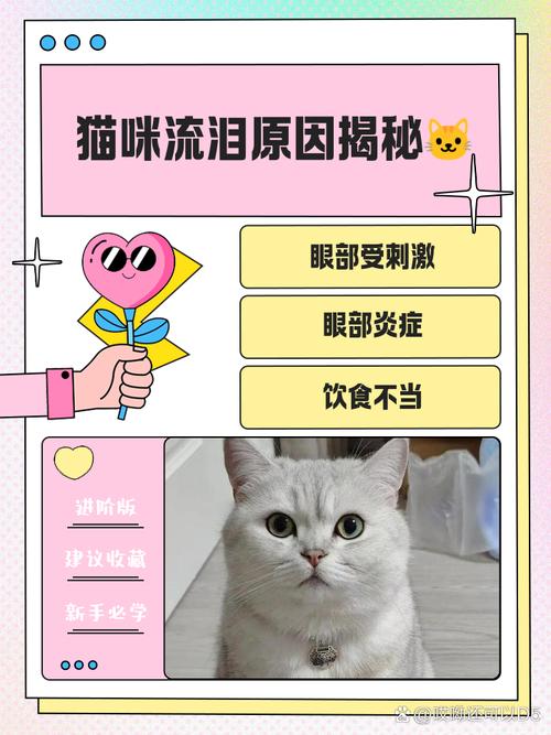 猫咪会因为什么事情伤心难过流眼泪呢?