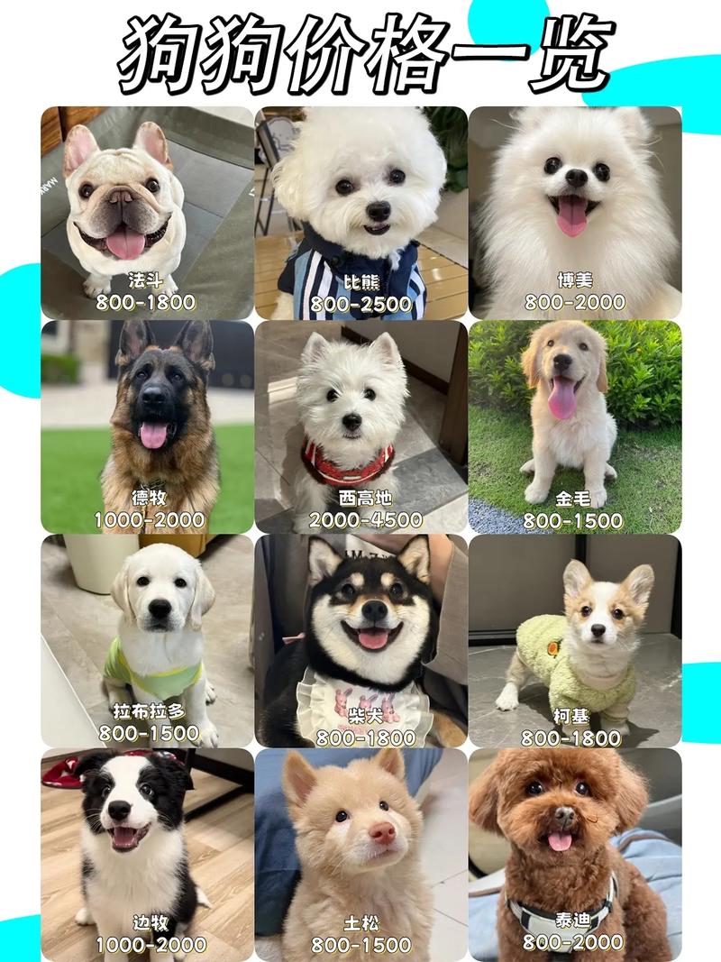 最贵的狗狗品种排名