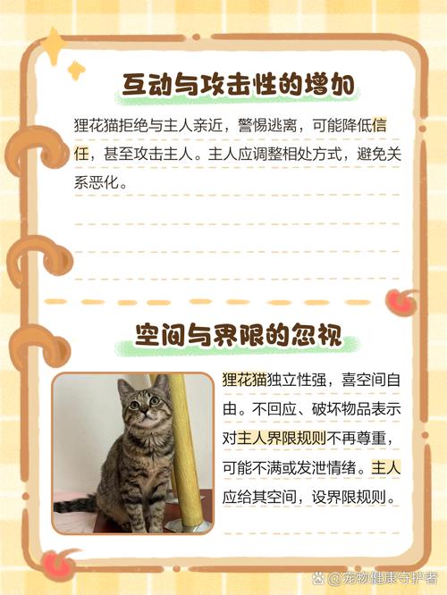 如果猫咪讨厌主人会有什么表现
