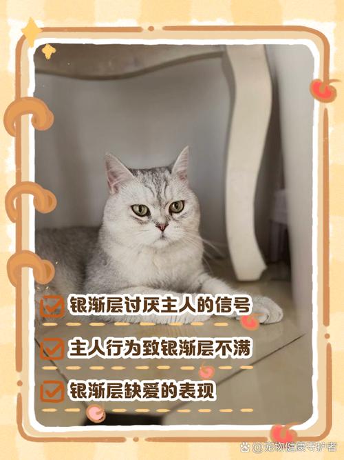 猫咪“讨厌你”的几个行为,藏也藏不住!