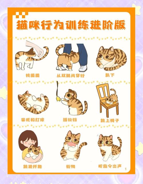 怎么样才能跟猫咪交流?