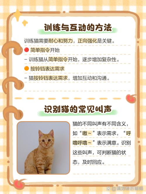 怎么跟猫说话才能听懂
