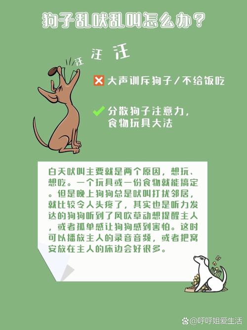 狗狗这5大坏习惯千万别纵容?