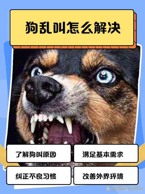 幼犬到家乱叫怎么办?