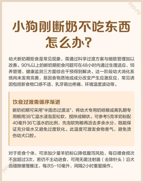 刚刚断奶的小狗不会自己吃饭怎么办