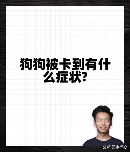 狗卡住喉咙的症状