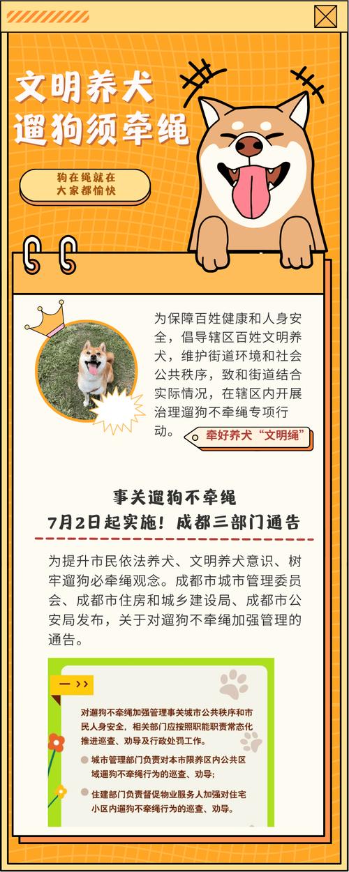 回家过年狗狗怎么办