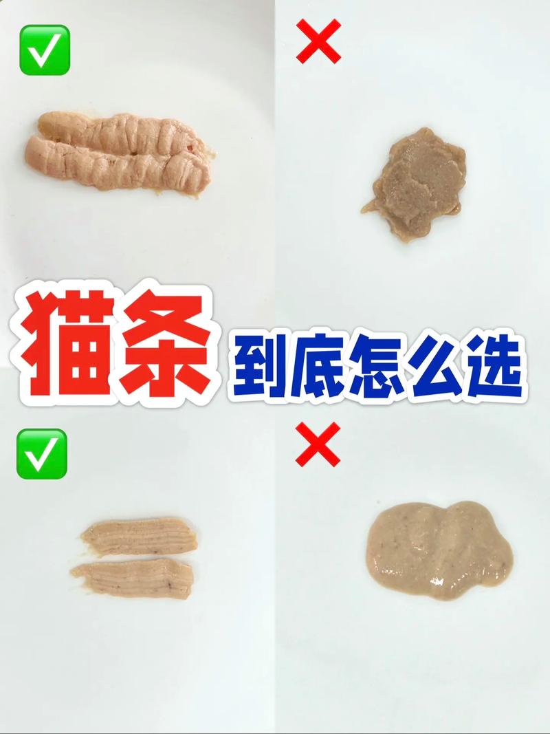 猫咪两个月了,能吃猫条吗?