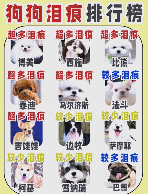 两个月狗狗流眼泪怎么回事