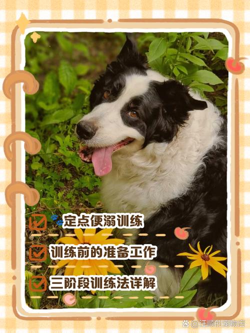 狗突然不去尿盆撒尿了怎么办