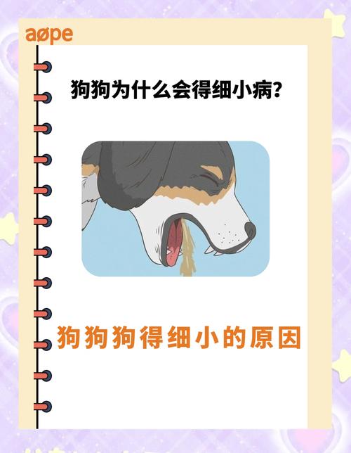 狗狗会无缘无故得细小吗