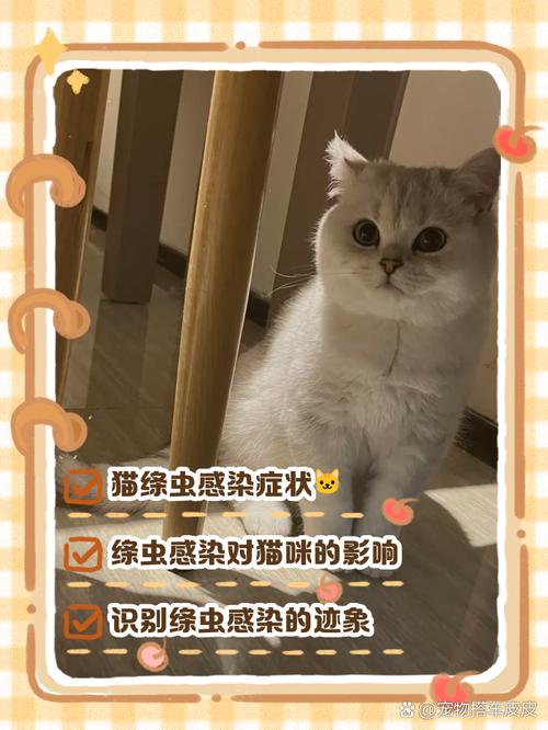 猫咪感染绦虫的症状都有哪些?