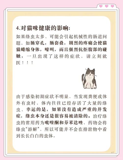 猫咪体内有绦虫,会对健康造成哪些影响?