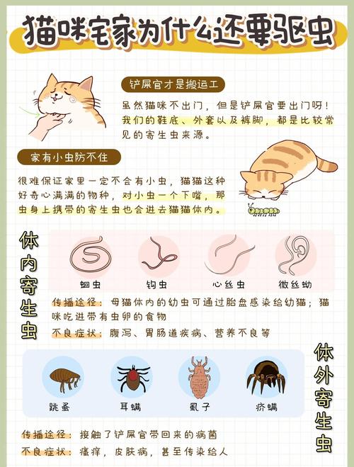 怎样辨别猫咪感染了绦虫?