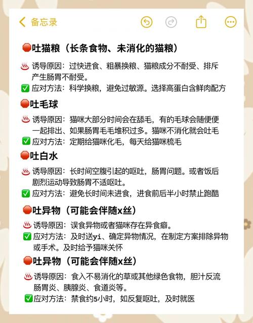 猫咪总是吃不胖是什么原因?