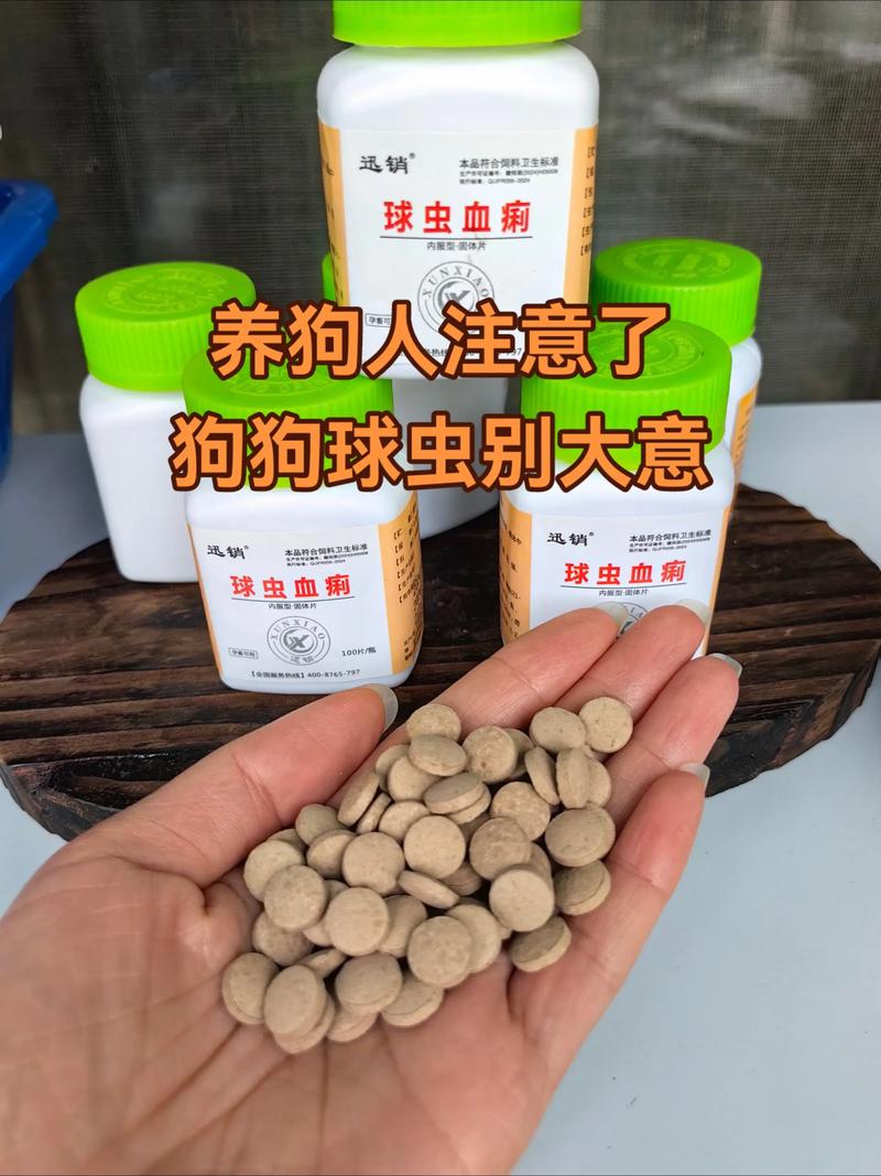 狗狗球虫病怎么治疗